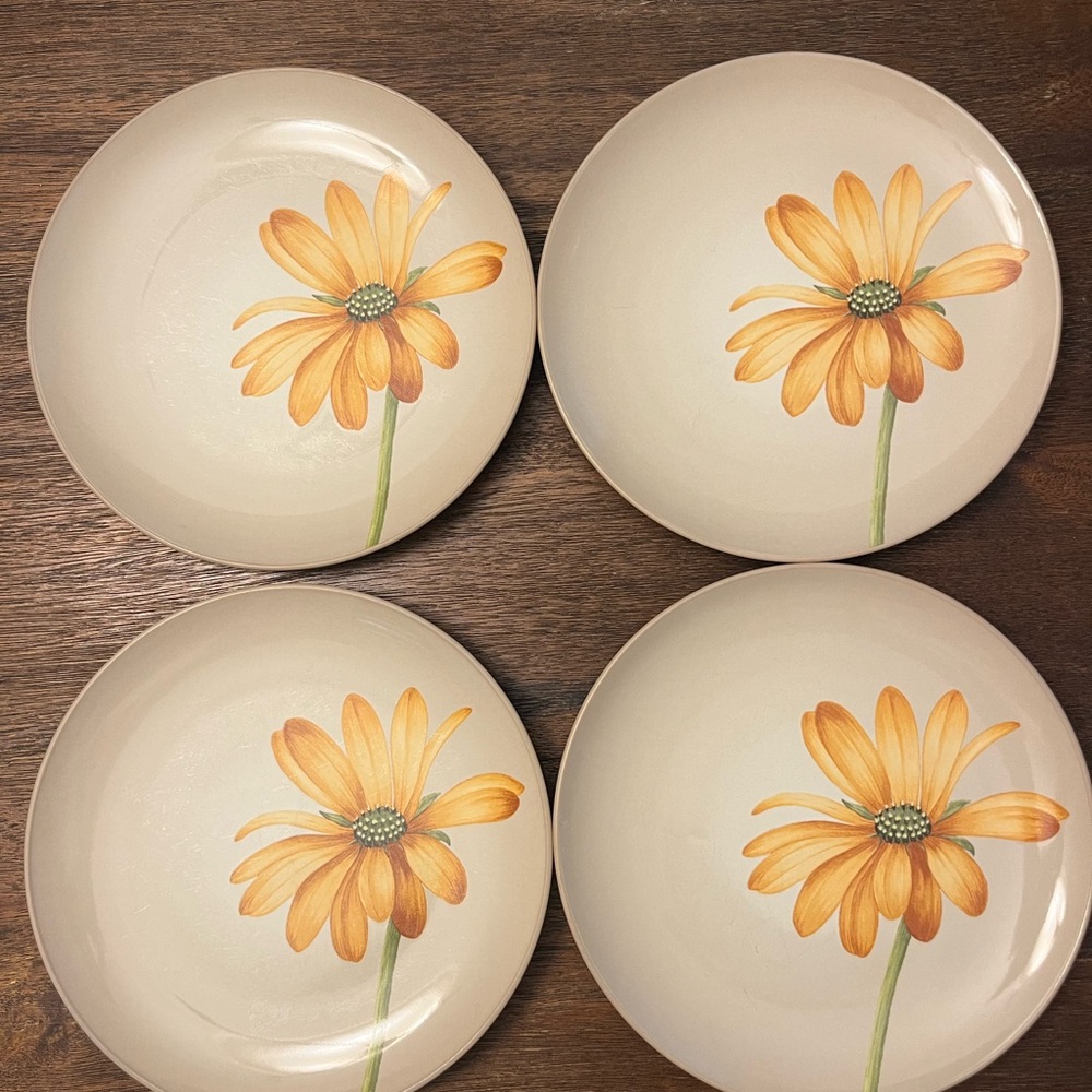 4 Noritake Colorwave Suede 8 14” Salad Plates.